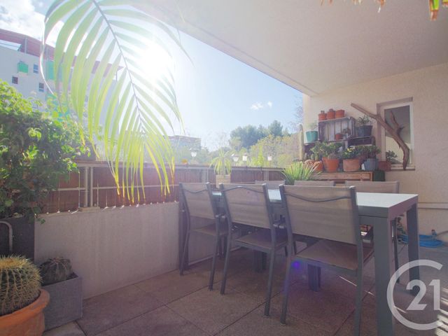 appartement - MONTPELLIER - 34