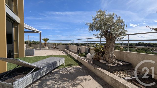 appartement - MONTPELLIER - 34